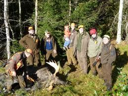 2, om det finns skälig anledning att befara ett angrepp på tamdjur och dödandet sker i omedelbar anslutning till att rovdjuret har angripit och skadat eller dödat tamdjuret. 28 a.