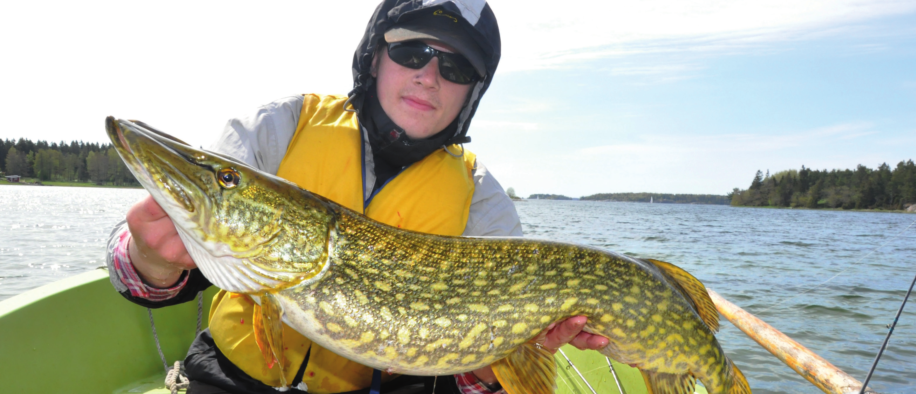 Fiske i Södermanland Fritt handredskapsfiske Fiske med handredskap är fritt längs Sveriges kust och i Mälaren samt i Hjälmaren.