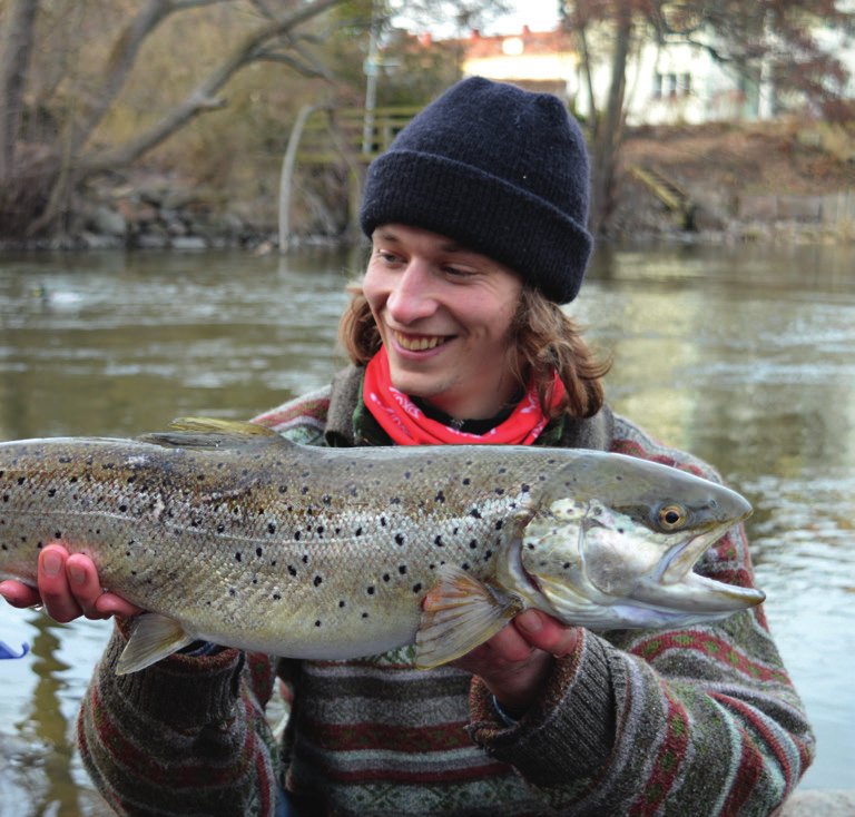 NYKÖPING NYKÖPINGSÅN Harg E4 NYKÖPING Nyköpingsån ABBORRE, BRAXEN, GÄDDA, GÖS, H AV S Ö R I N G, I D, L A X, M Ö R T Goda landfiskemöjligheter Kostnadsfritt fiske med toppknutet metspö Havsvandrande