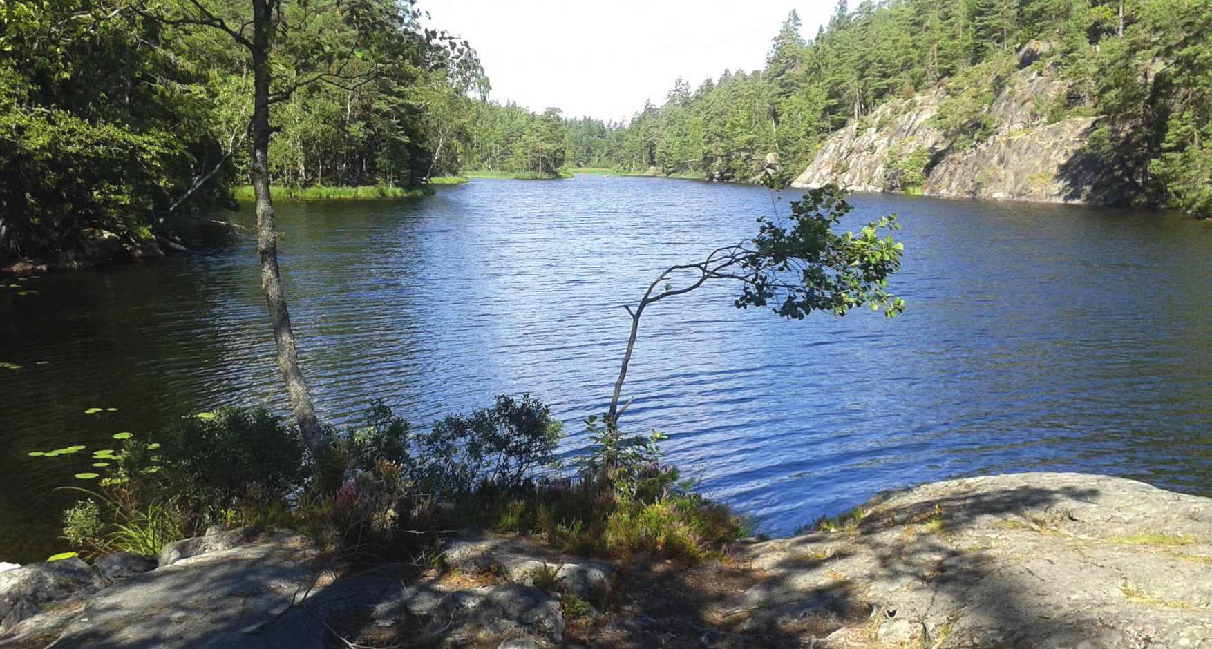 STRÄNGNÄS ÅKERS FISKE Åkers styckebruk E20 Idelången Visnaren Mörtsjön Göksjön STRÄNGNÄS Tallsjön Åkers Fiske Marviken Älgsjön Harsjön ABBORRE, GÄDDA, GÖS, REGNBÅGE Malsjön Fiskekort Goda