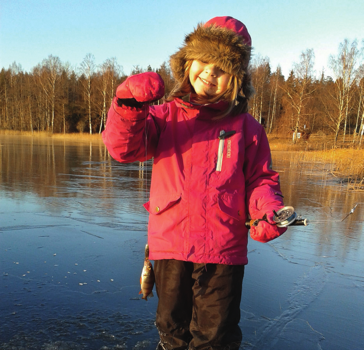 Regnbåge planteras ut i de populära sjöarna Älgsjön, Holmsjön och Tallsjön, och för dessa sjöar finns ett särskilt fiskekort.