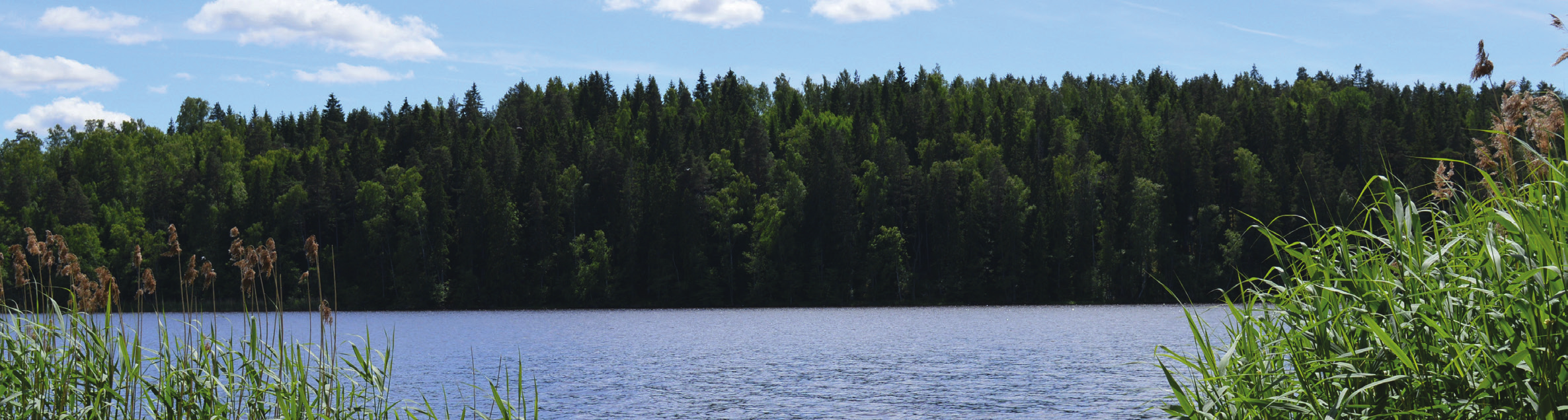 handredskapsfiske på kommunens vatten Goda landfiskemöjligheter Lättillgängligt I Taljasjön,