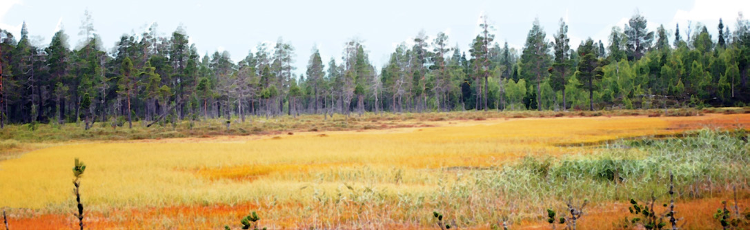 Kom hit genast! HJÄLP! Pilottons-scan Pilottons-scan hjälper dig om du inte vet vilken kanal ditt gästjaktlag använder.