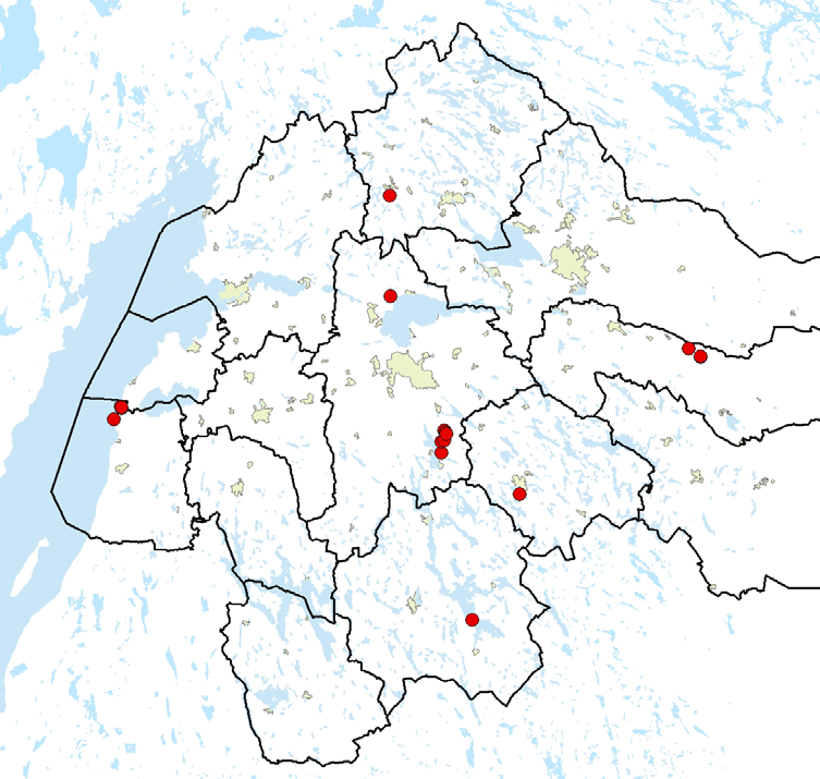 Fruktkroppen utvecklas oftast på gamla träd vid grenklykor högt upp på stammen, men det förekommer också fynd inuti ihåligheter och svampen finns kvar också på döda träd och lågor.