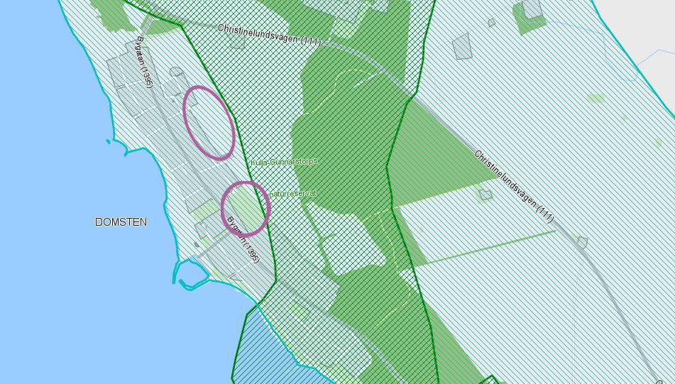 5(8) Dnr 2571/2008 Riksintressen. Blått raster visar avgränsning för riksintresse för kulturmiljövården.