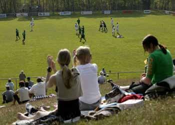 Tar styrelsen ansvar för detta? - Att ha en tydlig föreningsidé, mål och metod för arbete i föreningen. Att bestämma den struktur som ska finnas för arbetsområden och ansvarsfördelning.