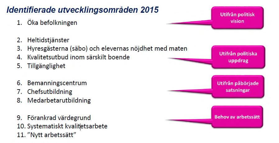 En särskild plan tas fram för identifierade utvecklingsområden och lämnas till kommundirektören. Figur 7.