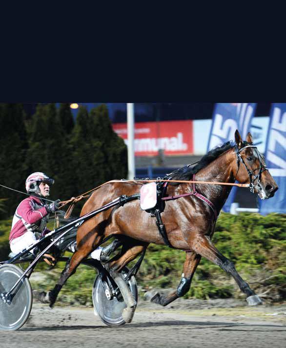 JÄGESO Du är fortfarande värds ctrum Xpressana // Solvalla astelm är Sveriges minsta stora fastighetsolag. Tidigare hette vi Aspholm, Brigg, Brostad, orall, Eklandia och Harry Sjögr.