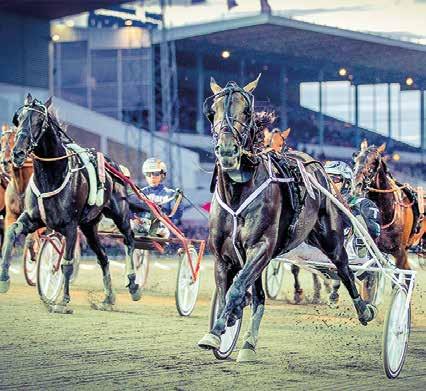 Luddes drag med att sätta upp Jimmy Takter akom lemza Am l perfekt och det l härlig krydda på tävlingsdag med Jimmy Takter i vinnarcirkeln.