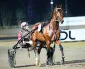 ,/0 Ulisse Kronos och Lutfi Kolgjni vann Lördagsloppet, som placerats inom V, i stor stil. Anna Svsson sköter om Ulisse Kronos. till oddset, värt 00.