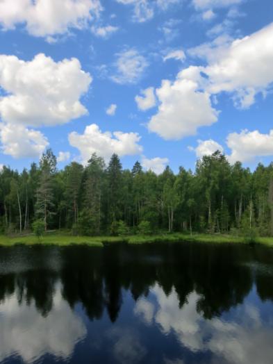 miljöer som ligger inbäddad i vårt trolska skogslandskap.