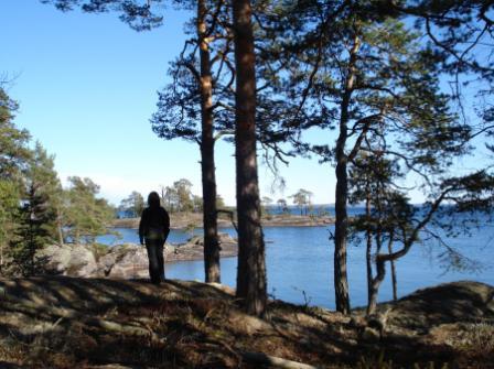 Du får även känna av historiens vingslag vid en guidad tur till poeten Werner von Heidenstams födelserum samt höra berättelsen om den lilla pojken Werner, som lekte och växte upp på gården.