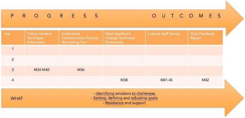 The monitoring tools developed specifically to identify resistance and facilitators to gender equality change activities