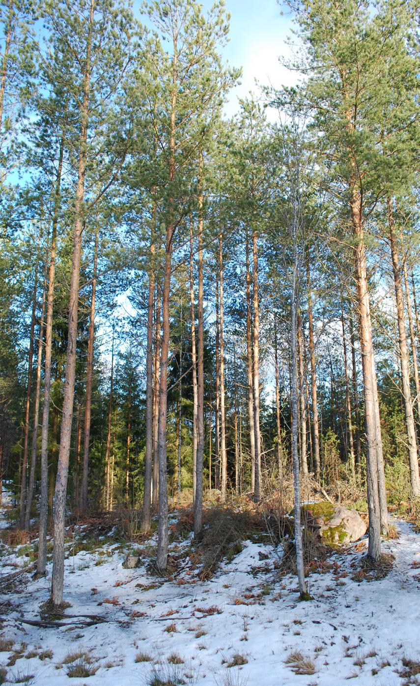 Nedströms passerar detta förbi brunnsområdet vid Bie källa (utgör vattentäkt för Bie), se karta 2. Marken i vägens närområde används till största del för jord- och skogsbruk.