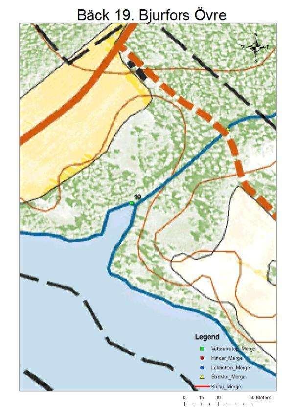 Bäck 19 Figur 60. Karta över bäck 19. Bjurfors Övre.