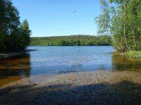 Längst ut upphör starr och örter att växa och strandzonen blir mer kal.