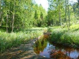 Bäcken har sin upprinnelse i Stryckmyran och består högre upp av raka diken över stora delen av myren.