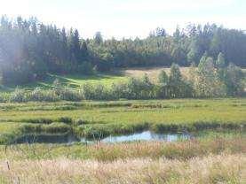 Våtmark för fågelhäckning Eftersom vattennivåerna är höjda pga vattenkraftsutbyggnad har det bildats en liten våtmark nära Umeälven. Ytan är ca 150 meter lång och 60 meter bred.