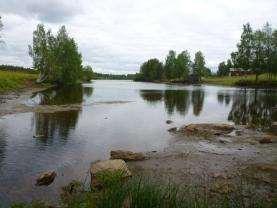 Strandkanten har eroderat ner och trumman har på det sättet blivit för hög mot älven. Substratet är 40 % sand och 20 % lera.