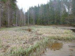 Bäcken rinner ut i en vik som 190 bred och 70 meter djup. I viken finns en ö som är ca 1700 m 2 stor och ger ett visst skydd åt strandvegetationen.