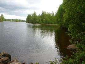 Stranden är bevuxen med starr, örter och på enstaka ställen med vide.