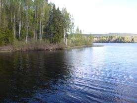 Delta Deltat är ca 200 meter djupt och bredden är ca 120 meter. Vid bäckens mynning är det ett område med starr, örter och buskar.