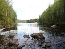 Bäcken ligger endast några hundra meter från Granö Camping som bedriver turism och konferensverksamhet. Bilder Figur 121. Bild 1. 2012-05-30 Figur 122. Bild 4.