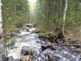 Förstärk lekbottnar med hartajokki-metoden förstärka.