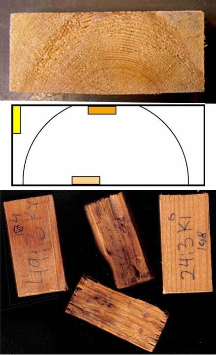 Projekten Spelar torkningen någon roll för beständigheten hos furu? Torktemperaturnivåerna har av olika kvalitetsskäl höjts avsevärt vid svenska sågverk under senaste 15 20 åren.