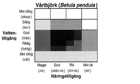 På senare tid har en ny metod utvecklats för att snabbt och säkert kunna artbestämma björk.