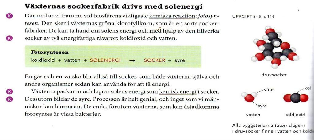 Uppgift 3 Ljus eller mörker? Du ska planera, genomföra och utvärdera en undersökning. Den ska handla om växterna och deras behov av ljus.