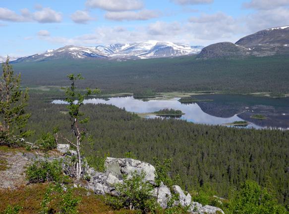 A B C D E F Figur 3. A. Kablas nordsluttning. Vy mot nordöst med Sarek i bakgrunden (Pårtemassivet).