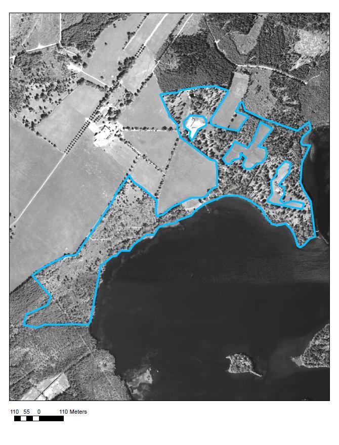 136. Toarp vid Bystadsjön Datum 2011-04-23 Gammal storlek 41,00 ha Ny storlek 34,77 ha Jag har uteslutit åkrar och kalhyggen. Ett ganska glest och splittrat lövskogsområde.