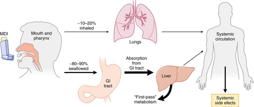 Inhalation av astmaläkemedel mycket hamnar i magen!