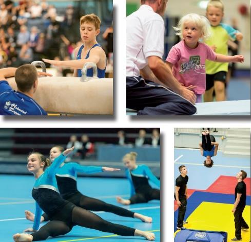 Vår vision Halmstad Frigymnaster Bäst och störst Nu och i framtiden Bäst: Vi vill vara bäst på gymnastik för bredd och elit samt arrangemang, organisation och ekonomi.