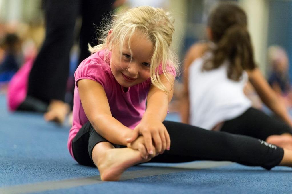 att ha tre gymnaster med i J- resp Seniorlandslaget En gymnast deltar i UNM Truppmål: att ta in minst 30 nya pojkar och flickor till HFG:s truppverksamhet att delta med U-lag i både dam- och