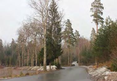 gångväg. V3 Stråket leder från Solhagaparken längs Masmovägen österut mot Glömstavägen.