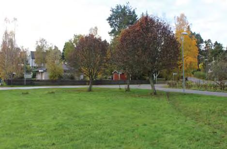 0,15 ha Liten park som består av en gräsyta med några få parkträd; oxlar.
