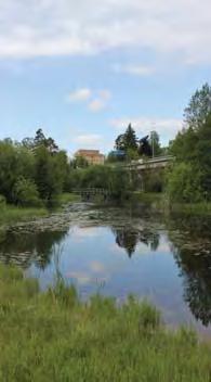 5,1 ha Centralt belägen våtmarkspark som hanterar dagvatten. Välbesökta gångstråk går igenom parken.