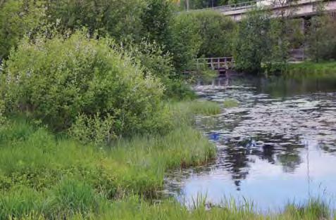 Upprustningen innebär en satsning på trevliga sittplatser och målpunkter i naturparken.