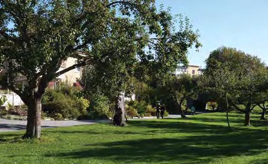 Breda perennplanteringar, lökmattor under parkträden, fina bänkar och hög