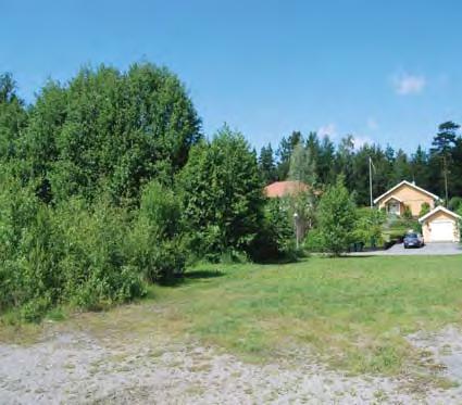 För att öka kontakten med naturområdet bör det röjas kring en tydlig gångstig in i skogen.