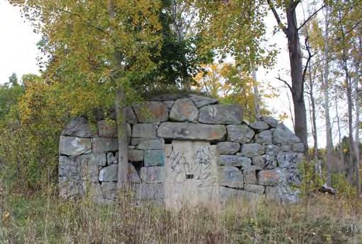 Vegetationen är rester av en tidigare trädgård som tillhörde Stensängens gård.