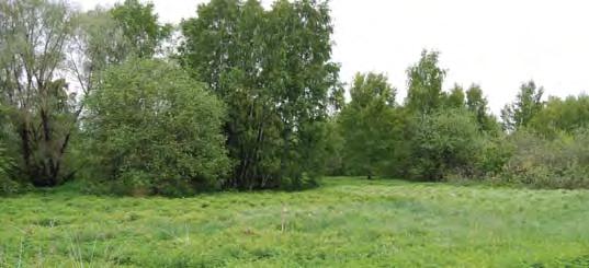 18. Strömkarlen Parkområdet gränsar till sjön Trehörningen. Längs parkens västra del går Långkärrsvägen.