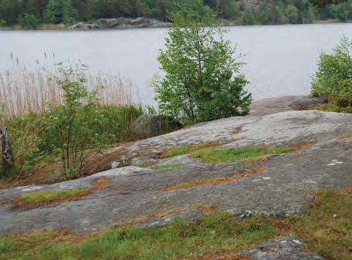 Stuvsta-Snättringe 19. Strandpark Parkområdet sträcker sig längs med sjön Trehörningen.