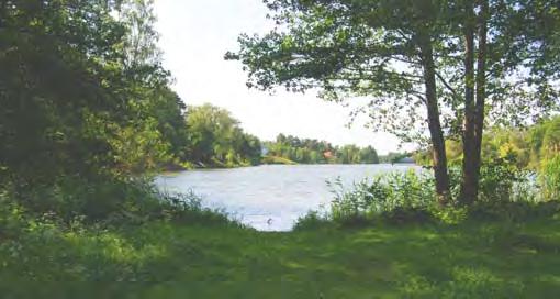 24. Långsjöparken Parkområdet består av flera små delområden som ligger längs med Stambanevägen ner mot Långsjön.