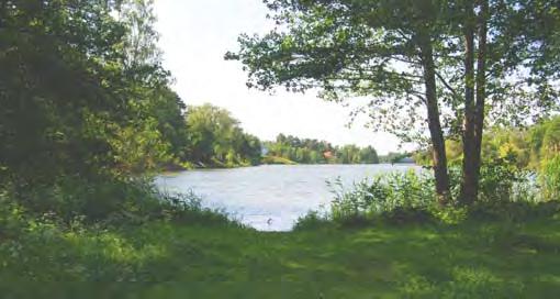 24. Långsjöparken Parkområdet består av flera små delområden som ligger längs med Stambanevägen ner mot Långsjön.