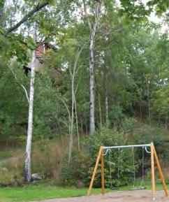 Parken har karaktär av områdeslekplats eftersom den är den största lekplatsen i