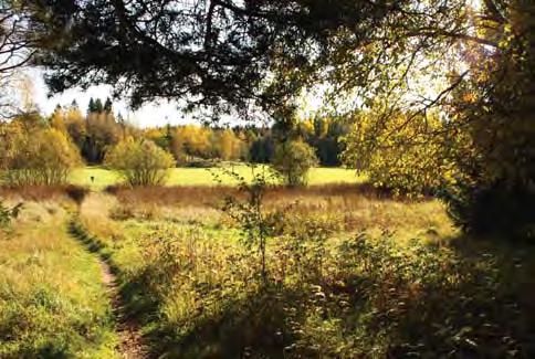 Visättra naturlekplats är tänkt att fungera som utflyktsmål för ett större område än närgrannskapet och vara en kontaktyta mot