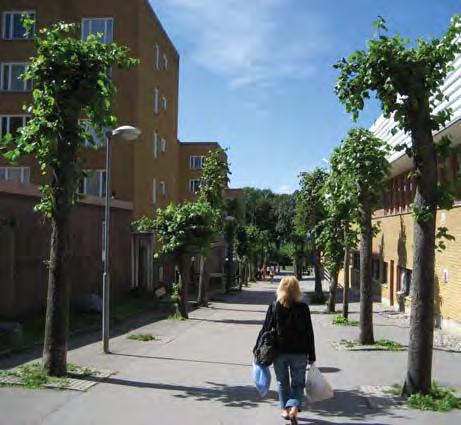 Promenadstråket rakt väster ut kantas av en fin trädallé.